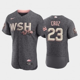 Washington Nationals Nelson Cruz Bloom Authentic Gray Men's 2022 City Connect Jersey