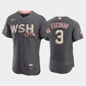 Washington Nationals Alcides Escobar Bloom Authentic Gray Men's 2022 City Connect Jersey