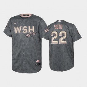 Washington Nationals 2022 City Connect #22 Juan Soto Gray Replica Youth Jersey