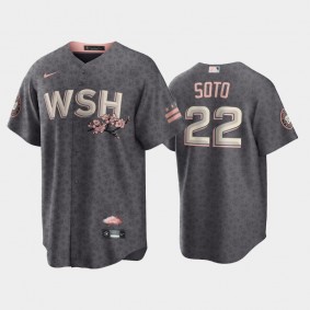 Washington Nationals 2022 City Connect #22 Juan Soto Gray Replica Men's Jersey