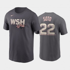 Men's 2022 City Connect Nationals #22 Juan Soto Name & Number Gray T-shirt