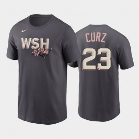 Men's 2022 City Connect Nationals #23 Nelson Cruz Name & Number Gray T-shirt