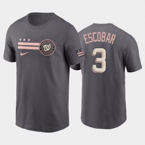 Men's #3 Alcides Escobar Washington Nationals Gray 2022 City Connect Graphic T-shirt