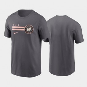 Men's 2022 City Connect Washington Nationals Graphic Gray T-shirt