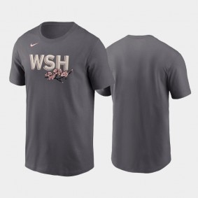 Men's 2022 City Connect Washington Nationals Wordmark Gray T-shirt