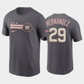 Men's #29 Yadiel Hernandez Washington Nationals Gray 2022 City Connect Graphic T-shirt