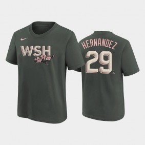 Youth #29 Yadiel Hernandez Washington Nationals Gray 2022 City Connect Name Number T-shirt