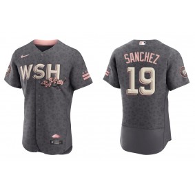 Men's Washington Nationals Anibal Sanchez Gray 2022 City Connect Authentic Jersey