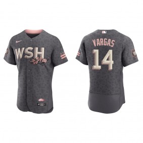 Men's Washington Nationals Ildemaro Vargas Gray 2022 City Connect Authentic Jersey