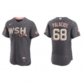 Men's Washington Nationals Josh Palacios Gray 2022 City Connect Authentic Jersey