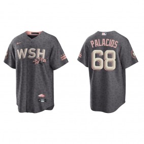 Men's Washington Nationals Josh Palacios Gray 2022 City Connect Replica Jersey