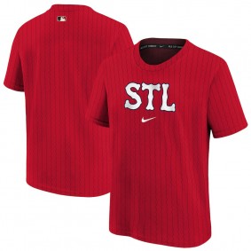 Youth St. Louis Cardinals Red 2024 City Connect Legend Performance T-Shirt